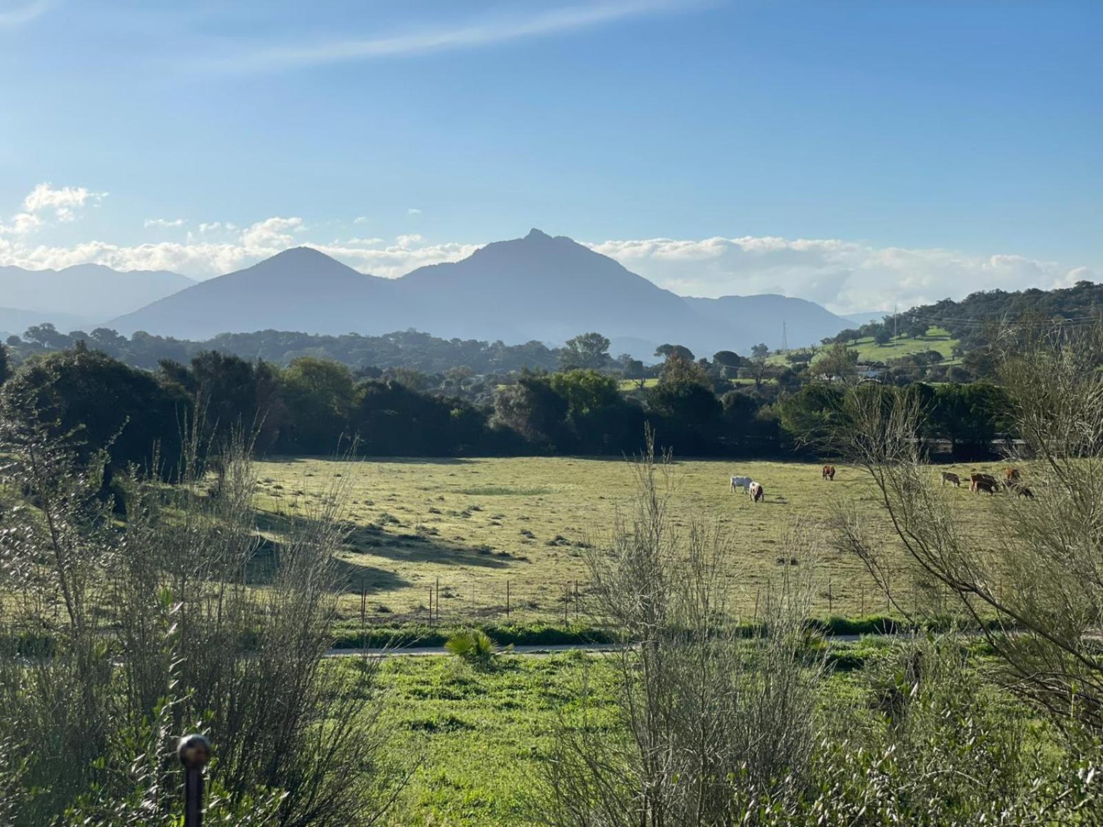 Cabana Rustica En Un Rancho Con Caballos, Prado Del Rey, Andalucia Экстерьер фото