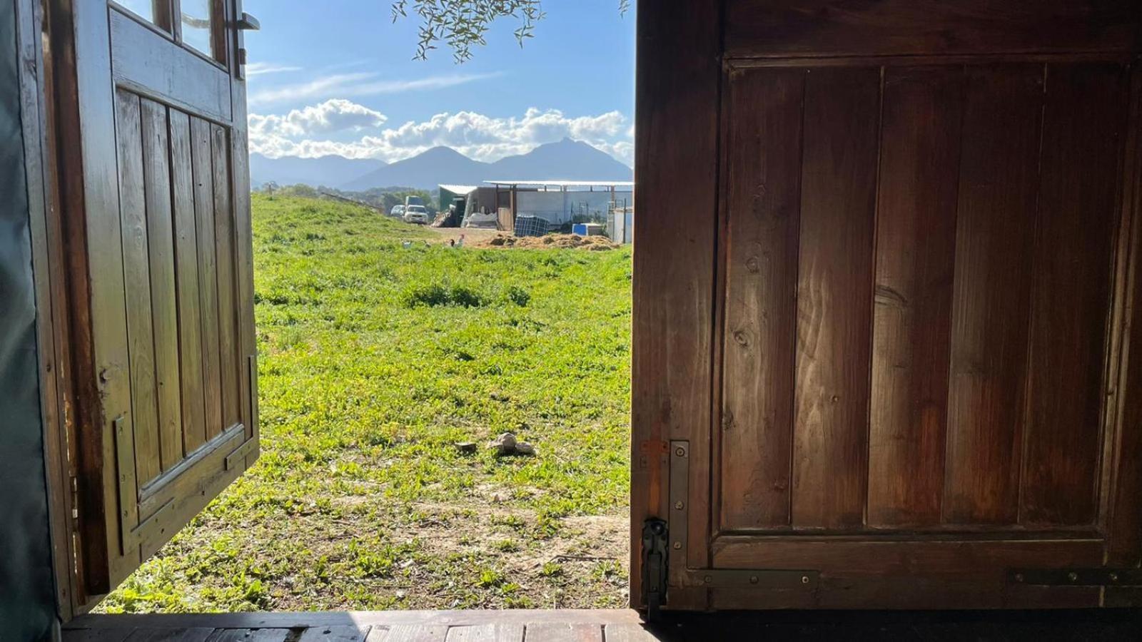 Cabana Rustica En Un Rancho Con Caballos, Prado Del Rey, Andalucia Экстерьер фото