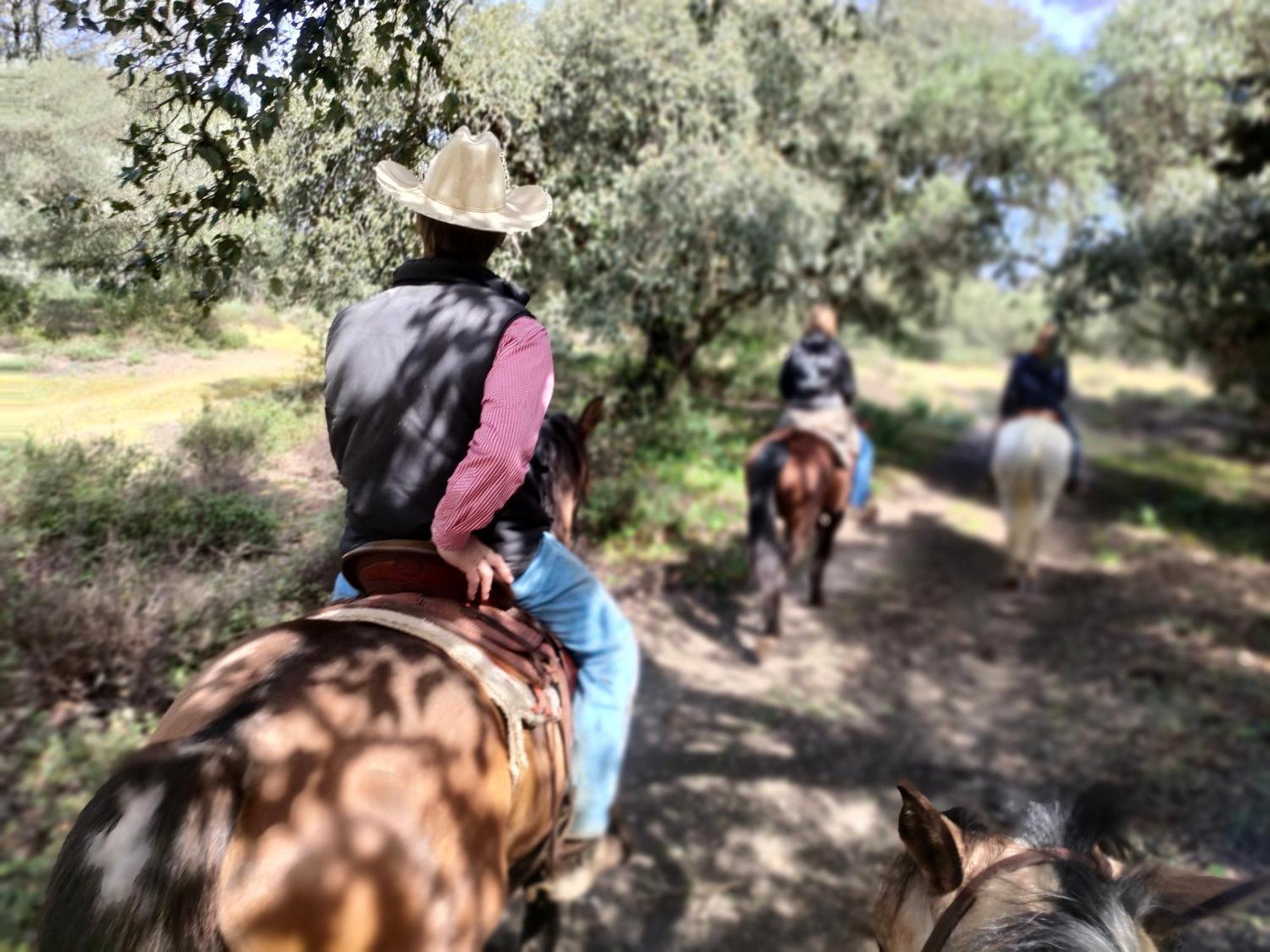 Cabana Rustica En Un Rancho Con Caballos, Prado Del Rey, Andalucia Экстерьер фото
