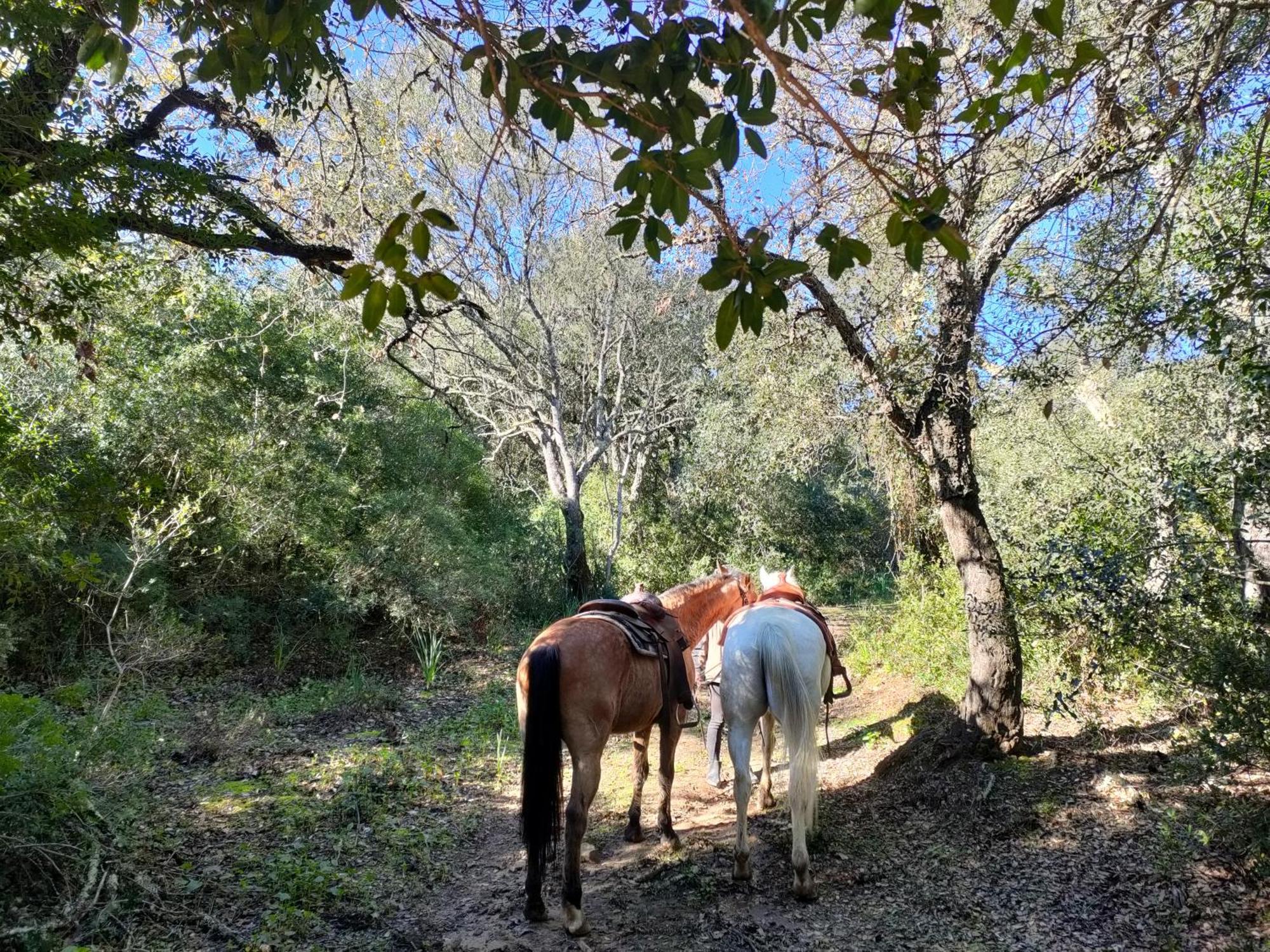 Cabana Rustica En Un Rancho Con Caballos, Prado Del Rey, Andalucia Экстерьер фото