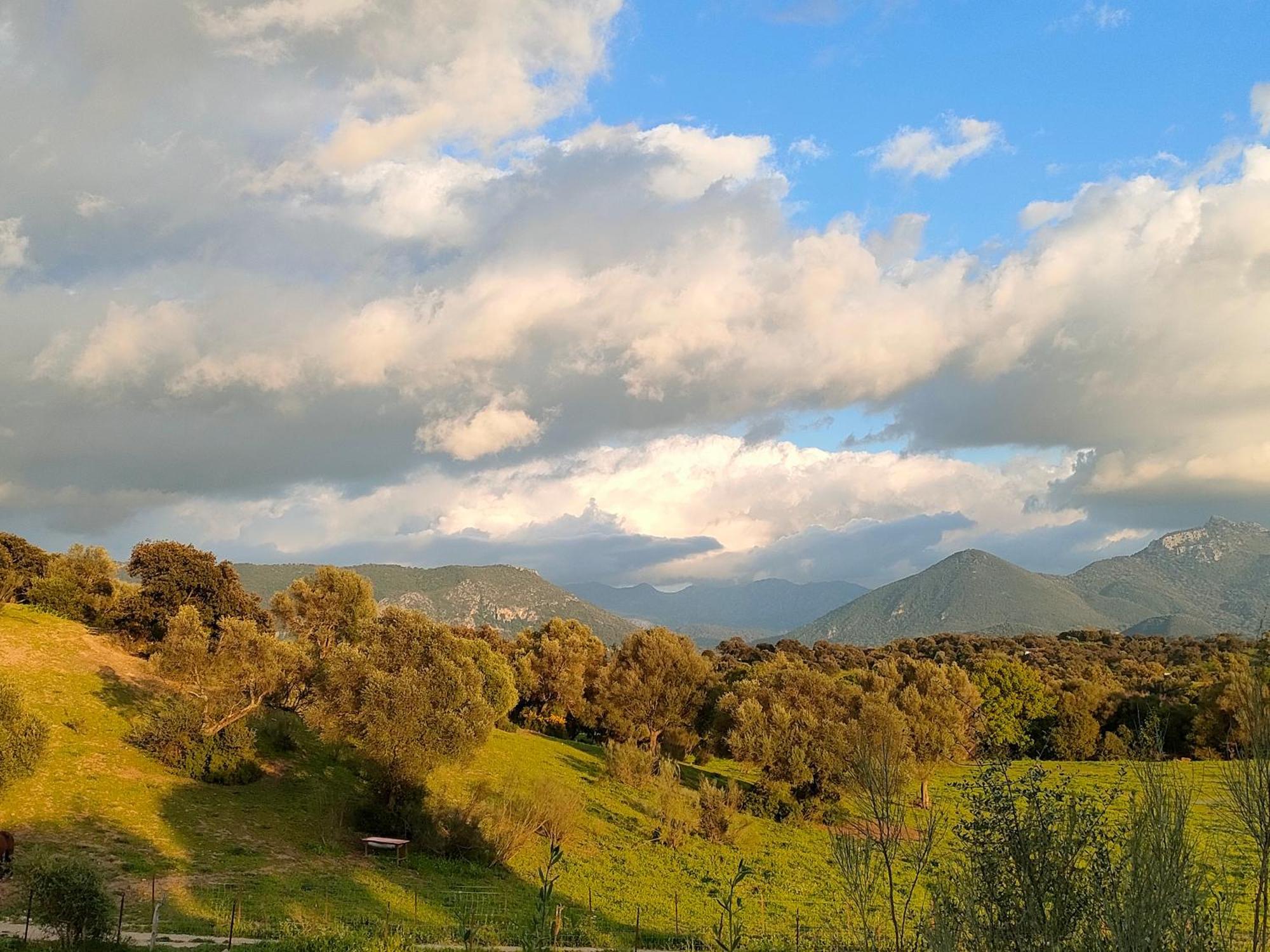 Cabana Rustica En Un Rancho Con Caballos, Prado Del Rey, Andalucia Экстерьер фото
